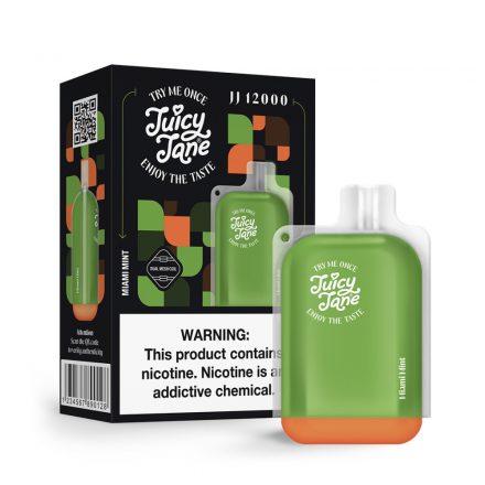 Juicy Jane JJ12000 Miami Mint 5% rechargeable